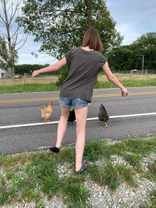 Daughter herding chickens across the road